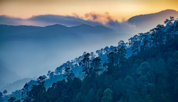 Must-Do Activities for a Perfect Vacation in Ranikhet, Uttarakhand